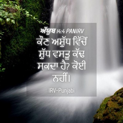 Picture 04 - ਅੱਯੂਬ 14:4 PANIRV - ਕੌਣ ਅਸ਼ੁੱਧ ਵਿੱਚੋਂ - Bible Verse Picture