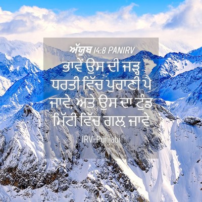 Picture 04 - ਅੱਯੂਬ 14:8 PANIRV - ਭਾਵੇਂ ਉਸ ਦੀ ਜੜ੍ਹ - Bible Verse Picture