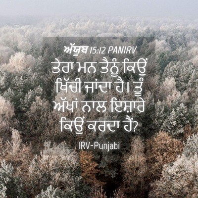 Picture 04 - ਅੱਯੂਬ 15:12 PANIRV - ਤੇਰਾ ਮਨ ਤੈਨੂੰ ਕਿਉਂ - Bible Verse Picture