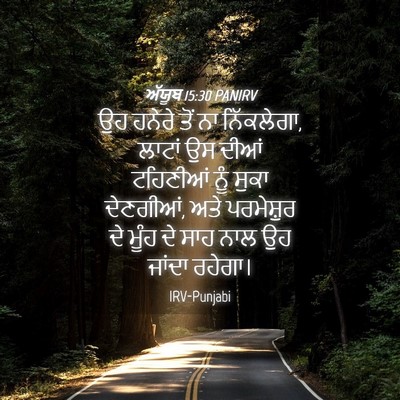 Picture 04 - ਅੱਯੂਬ 15:30 PANIRV - ਉਹ ਹਨੇਰੇ ਤੋਂ ਨਾ - Bible Verse Picture