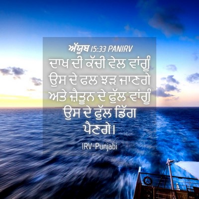 Picture 04 - ਅੱਯੂਬ 15:33 PANIRV - ਦਾਖ ਦੀ ਕੱਚੀ ਵੇਲ - Bible Verse Picture