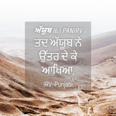 Picture 04 - ਅੱਯੂਬ 16:1 PANIRV - ਤਦ ਅੱਯੂਬ ਨੇ ਉੱਤਰ ਦੇ - Bible Verse Picture