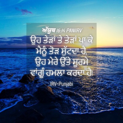 Picture 04 - ਅੱਯੂਬ 16:14 PANIRV - ਉਹ ਤੇੜਾਂ ਤੇ ਤੇੜਾਂ - Bible Verse Picture