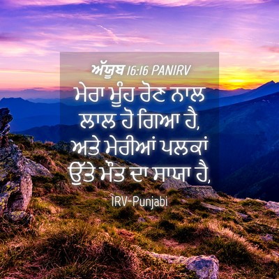 Picture 04 - ਅੱਯੂਬ 16:16 PANIRV - ਮੇਰਾ ਮੂੰਹ ਰੋਣ ਨਾਲ - Bible Verse Picture