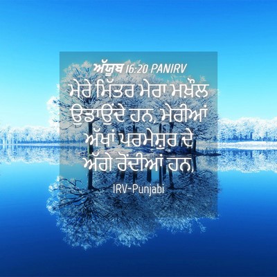 Picture 04 - ਅੱਯੂਬ 16:20 PANIRV - ਮੇਰੇ ਮਿੱਤਰ ਮੇਰਾ - Bible Verse Picture