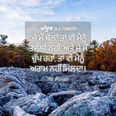 Picture 04 - ਅੱਯੂਬ 16:6 PANIRV - “ਜੇ ਮੈਂ ਬੋਲਾਂ ਤਾਂ - Bible Verse Picture