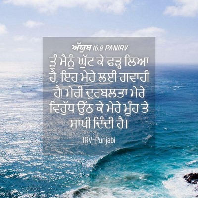 Picture 04 - ਅੱਯੂਬ 16:8 PANIRV - ਤੂੰ ਮੈਨੂੰ ਘੁੱਟ ਕੇ - Bible Verse Picture