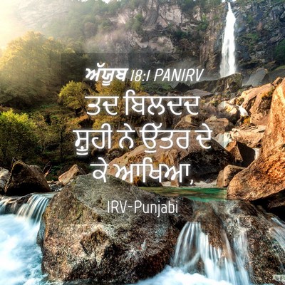 Picture 04 - ਅੱਯੂਬ 18:1 PANIRV - ਤਦ ਬਿਲਦਦ ਸ਼ੂਹੀ ਨੇ - Bible Verse Picture