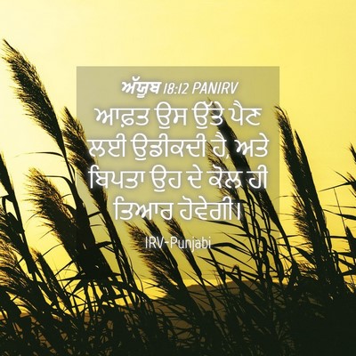 Picture 04 - ਅੱਯੂਬ 18:12 PANIRV - ਆਫ਼ਤ ਉਸ ਉੱਤੇ ਪੈਣ ਲਈ - Bible Verse Picture