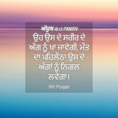 Picture 04 - ਅੱਯੂਬ 18:13 PANIRV - ਉਹ ਉਸ ਦੇ ਸਰੀਰ ਦੇ - Bible Verse Picture