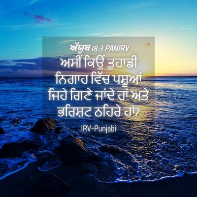 Picture 04 - ਅੱਯੂਬ 18:3 PANIRV - ਅਸੀਂ ਕਿਉਂ ਤੁਹਾਡੀ - Bible Verse Picture