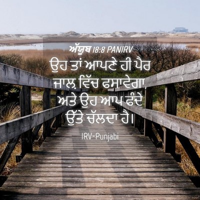 Picture 04 - ਅੱਯੂਬ 18:8 PANIRV - ਉਹ ਤਾਂ ਆਪਣੇ ਹੀ ਪੈਰ - Bible Verse Picture
