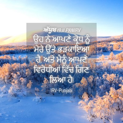 Picture 04 - ਅੱਯੂਬ 19:11 PANIRV - ਉਹ ਨੇ ਆਪਣੇ ਕ੍ਰੋਧ - Bible Verse Picture