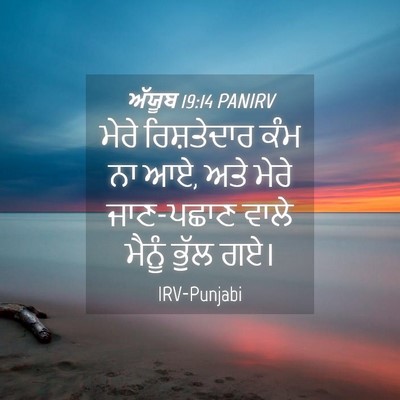 Picture 04 - ਅੱਯੂਬ 19:14 PANIRV - ਮੇਰੇ ਰਿਸ਼ਤੇਦਾਰ - Bible Verse Picture