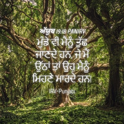 Picture 04 - ਅੱਯੂਬ 19:18 PANIRV - ਮੁੰਡੇ ਵੀ ਮੈਨੂੰ - Bible Verse Picture