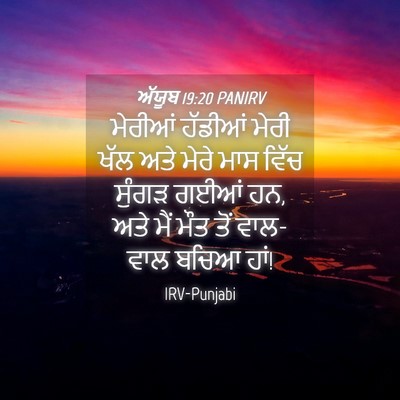Picture 04 - ਅੱਯੂਬ 19:20 PANIRV - ਮੇਰੀਆਂ ਹੱਡੀਆਂ - Bible Verse Picture