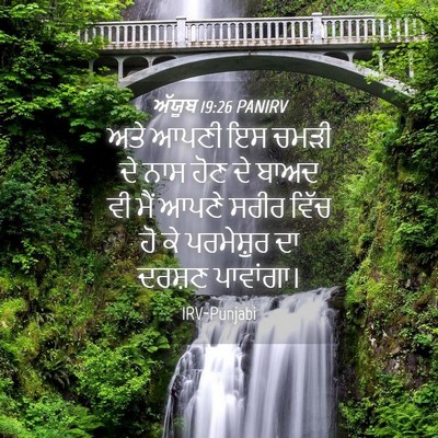 Picture 04 - ਅੱਯੂਬ 19:26 PANIRV - ਅਤੇ ਆਪਣੀ ਇਸ ਚਮੜੀ ਦੇ - Bible Verse Picture
