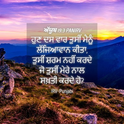 Picture 04 - ਅੱਯੂਬ 19:3 PANIRV - ਹੁਣ ਦਸ ਵਾਰ ਤੁਸੀਂ - Bible Verse Picture