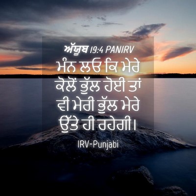 Picture 04 - ਅੱਯੂਬ 19:4 PANIRV - ਮੰਨ ਲਓ ਕਿ ਮੇਰੇ - Bible Verse Picture