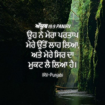 Picture 04 - ਅੱਯੂਬ 19:9 PANIRV - ਉਹ ਨੇ ਮੇਰਾ ਪਰਤਾਪ - Bible Verse Picture