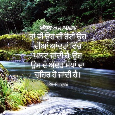 Picture 04 - ਅੱਯੂਬ 20:14 PANIRV - ਤਾਂ ਵੀ ਉਹ ਦੀ ਰੋਟੀ - Bible Verse Picture