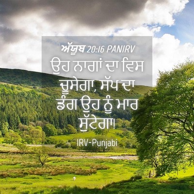 Picture 04 - ਅੱਯੂਬ 20:16 PANIRV - ਉਹ ਨਾਗਾਂ ਦਾ ਵਿਸ - Bible Verse Picture