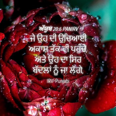 Picture 04 - ਅੱਯੂਬ 20:6 PANIRV - ਜੇ ਉਹ ਦੀ ਉਚਿਆਈ - Bible Verse Picture