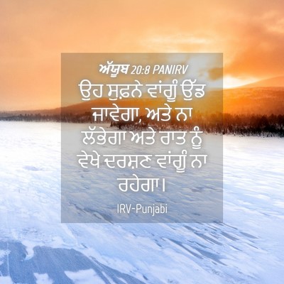 Picture 04 - ਅੱਯੂਬ 20:8 PANIRV - ਉਹ ਸੁਫ਼ਨੇ ਵਾਂਗੂੰ - Bible Verse Picture