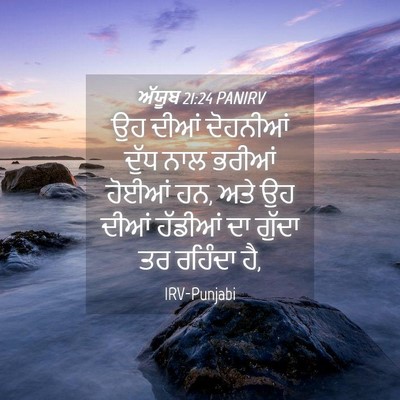 Picture 04 - ਅੱਯੂਬ 21:24 PANIRV - ਉਹ ਦੀਆਂ ਦੋਹਨੀਆਂ - Bible Verse Picture