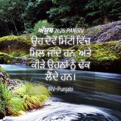 Picture 04 - ਅੱਯੂਬ 21:26 PANIRV - ਉਹ ਦੋਵੇਂ ਮਿੱਟੀ - Bible Verse Picture
