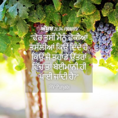 Picture 04 - ਅੱਯੂਬ 21:34 PANIRV - “ਫੇਰ ਤੁਸੀਂ ਮੈਨੂੰ - Bible Verse Picture