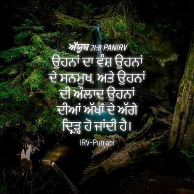 Picture 04 - ਅੱਯੂਬ 21:8 PANIRV - ਉਹਨਾਂ ਦਾ ਵੰਸ਼ - Bible Verse Picture