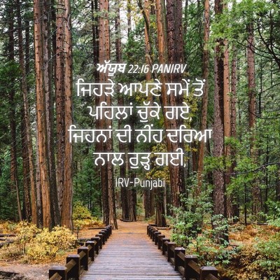 Picture 04 - ਅੱਯੂਬ 22:16 PANIRV - ਜਿਹੜੇ ਆਪਣੇ ਸਮੇਂ - Bible Verse Picture