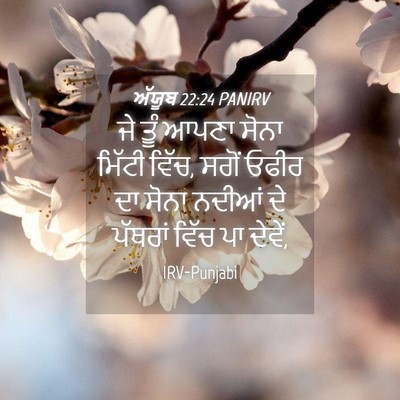 Picture 04 - ਅੱਯੂਬ 22:24 PANIRV - ਜੇ ਤੂੰ ਆਪਣਾ ਸੋਨਾ - Bible Verse Picture