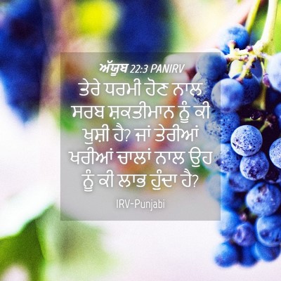 Picture 04 - ਅੱਯੂਬ 22:3 PANIRV - ਤੇਰੇ ਧਰਮੀ ਹੋਣ ਨਾਲ - Bible Verse Picture