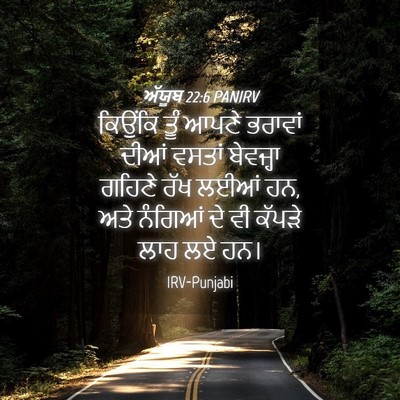 Picture 04 - ਅੱਯੂਬ 22:6 PANIRV - ਕਿਉਂਕਿ ਤੂੰ ਆਪਣੇ - Bible Verse Picture