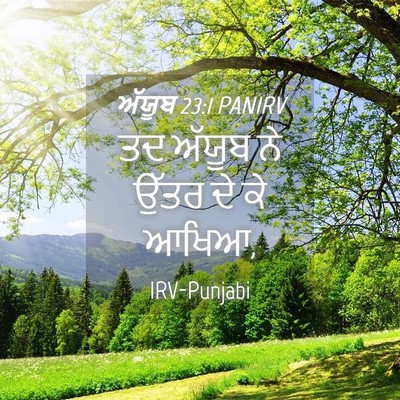 Picture 04 - ਅੱਯੂਬ 23:1 PANIRV - ਤਦ ਅੱਯੂਬ ਨੇ ਉੱਤਰ ਦੇ - Bible Verse Picture