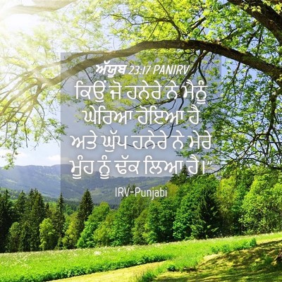 Picture 04 - ਅੱਯੂਬ 23:17 PANIRV - ਕਿਉਂ ਜੋ ਹਨੇਰੇ ਨੇ - Bible Verse Picture