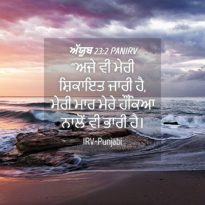 Picture 04 - ਅੱਯੂਬ 23:2 PANIRV - “ਅਜੇ ਵੀ ਮੇਰੀ - Bible Verse Picture