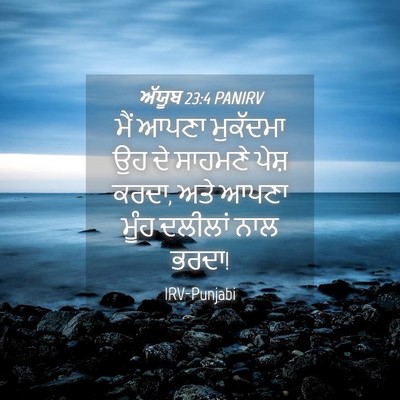 Picture 04 - ਅੱਯੂਬ 23:4 PANIRV - ਮੈਂ ਆਪਣਾ ਮੁਕੱਦਮਾ - Bible Verse Picture