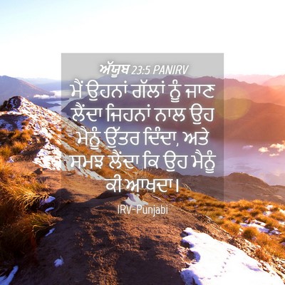 Picture 04 - ਅੱਯੂਬ 23:5 PANIRV - ਮੈਂ ਉਹਨਾਂ ਗੱਲਾਂ - Bible Verse Picture