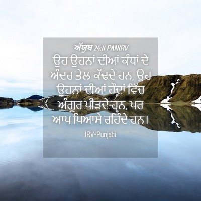 Picture 04 - ਅੱਯੂਬ 24:11 PANIRV - ਉਹ ਉਹਨਾਂ ਦੀਆਂ - Bible Verse Picture