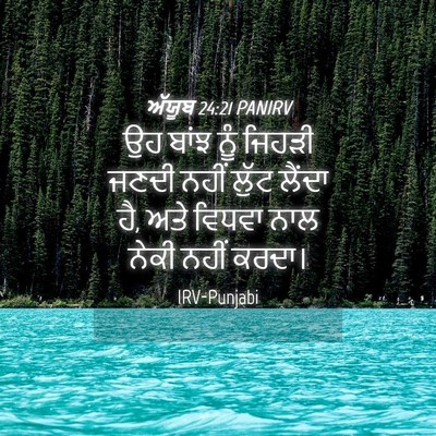 Picture 04 - ਅੱਯੂਬ 24:21 PANIRV - ਉਹ ਬਾਂਝ ਨੂੰ ਜਿਹੜੀ - Bible Verse Picture