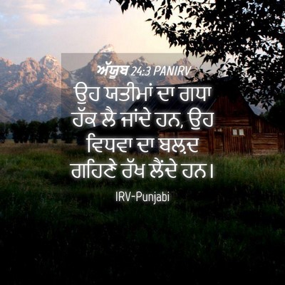 Picture 04 - ਅੱਯੂਬ 24:3 PANIRV - ਉਹ ਯਤੀਮਾਂ ਦਾ ਗਧਾ - Bible Verse Picture