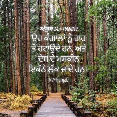 Picture 04 - ਅੱਯੂਬ 24:4 PANIRV - ਉਹ ਕੰਗਾਲਾਂ ਨੂੰ ਰਾਹ - Bible Verse Picture