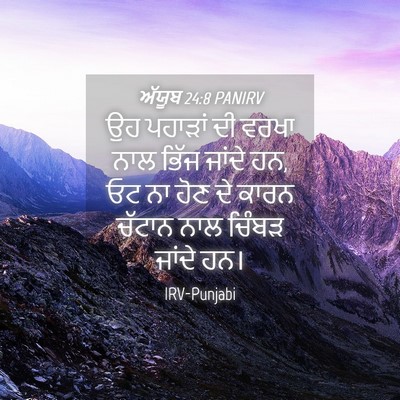 Picture 04 - ਅੱਯੂਬ 24:8 PANIRV - ਉਹ ਪਹਾੜਾਂ ਦੀ ਵਰਖਾ - Bible Verse Picture