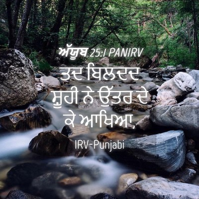 Picture 04 - ਅੱਯੂਬ 25:1 PANIRV - ਤਦ ਬਿਲਦਦ ਸ਼ੂਹੀ ਨੇ - Bible Verse Picture