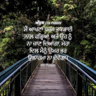 Picture 04 - ਅੱਯੂਬ 27:6 PANIRV - ਮੈਂ ਆਪਣਾ ਧਰਮ ਤਕੜਾਈ - Bible Verse Picture