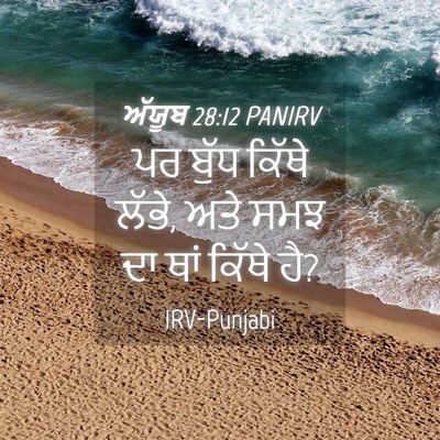 Picture 04 - ਅੱਯੂਬ 28:12 PANIRV - ਪਰ ਬੁੱਧ ਕਿੱਥੇ ਲੱਭੇ, - Bible Verse Picture