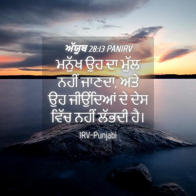 Picture 04 - ਅੱਯੂਬ 28:13 PANIRV - ਮਨੁੱਖ ਉਹ ਦਾ ਮੁੱਲ - Bible Verse Picture